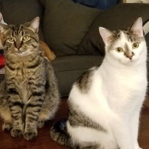 Meet your Posher, Malia